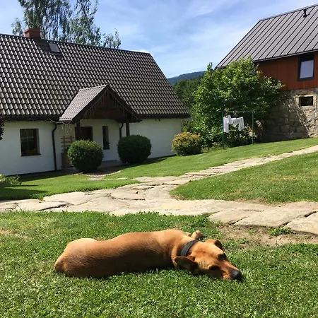 Ostoja Willa